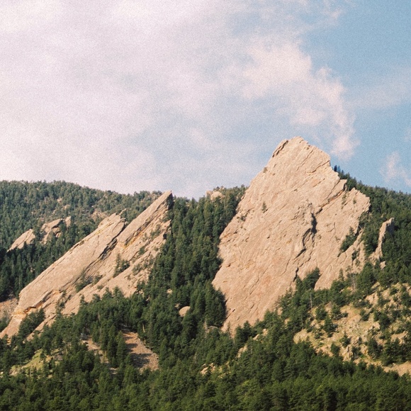 Meet your Posher, Emilee - Picture 1 of 1